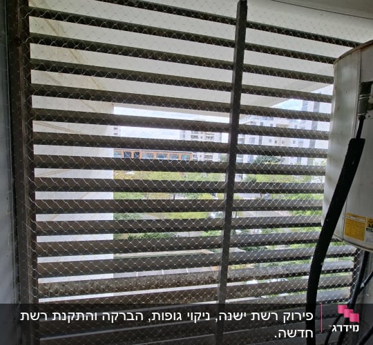 רשת למניעת כניסת יונים על חלון בניין
